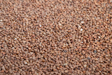 Nutritious buckwheat groats ready for bowl, raw triangular kernels, coarse texture, rich fiber and plant protein cues, ideal for porridge, salad mixes, and diet planning imagery