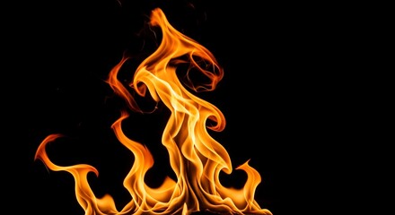 A vibrant blaze dances against a stark black background. Orange flames twist and curl, creating a dynamic and fiery image