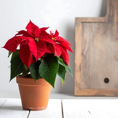 Close-up of poinsettia in a pot beside a wooden cutting board