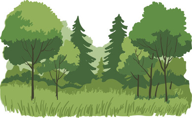 Fototapeta premium Green forest landscape illustration with trees meadow grass nature background for eco design, cartoon woodland scenery spring environment park vector