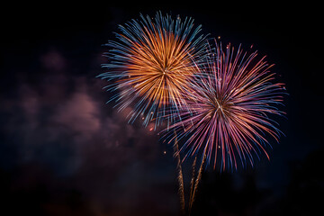 Fireworks at Night