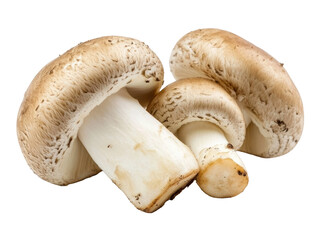 Fresh Champignon Mushrooms Isolated