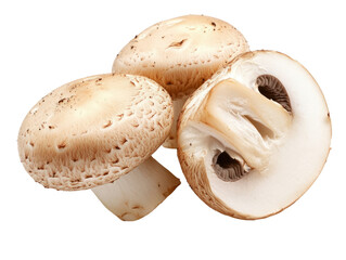 Fresh whole and sliced mushrooms isolated