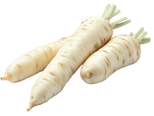 Fresh white parsnips isolated on transparent background