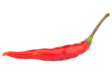 pepper chili isolated on white background