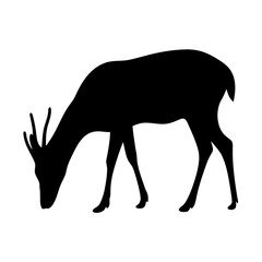Elegant deer silhouette with antlers bending down, perfect for wildlife and nature themes Vector