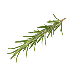 Fototapeta premium A single vibrant green sprig of rosemary isolated on a deep transparent background