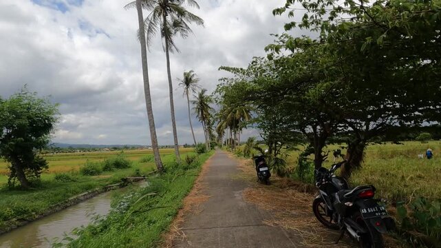 bicycle path in the park, POV Motorcycle Riding: Java, Indonesia, South East Asia: