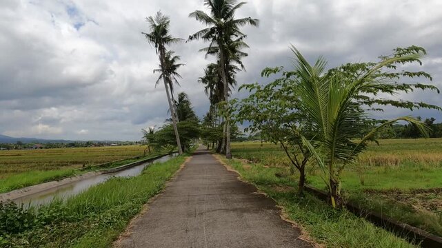 road in the countryside, POV Motorcycle Riding: Java, Indonesia, South East Asia: