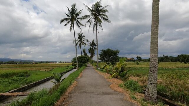 path to the sea, POV Motorcycle Riding: Java, Indonesia, South East Asia: