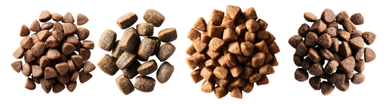 detailed close up of four piles of dry dog food kibble in brown shades and different sizes scattered on a white background