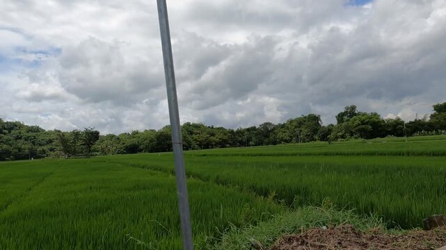 POV Motorcycle Riding: Java, Indonesia, South East Asia: POV Motorbike Ride Along Farmland Road at Dawn