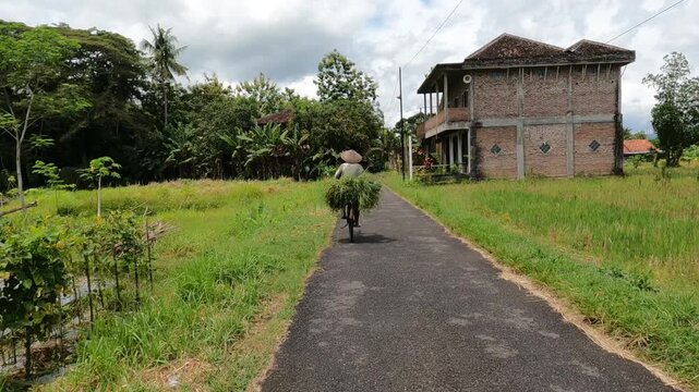 POV Motorcycle Riding: Java, Indonesia, South East Asia: POV Motorcycle Ride Through Traditional Farming Area, farmer on bicycle 