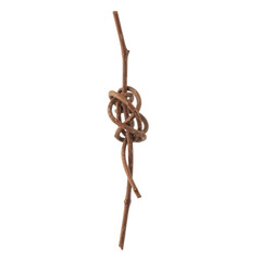 Obraz premium Intricate natural knot formed by intertwined twigs on a stark transparent backdrop