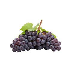 Fototapeta premium Plump, ripe dark grapes with vibrant green leaves isolated on a deep transparent background