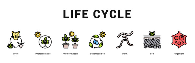 Life Cycle Modern and clean web banner illustration featuring thematic icons for visual communication