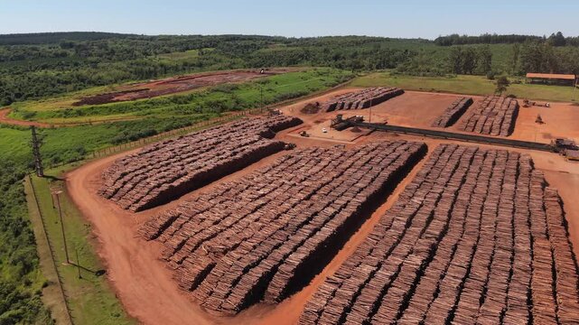 Aerial view of stacked pine logs at pulp mill, showcasing industrial forestry supply chain operations.