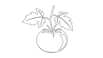 A simple line drawing of a ripe tomato with green leaves on a stem, presented on a white background.