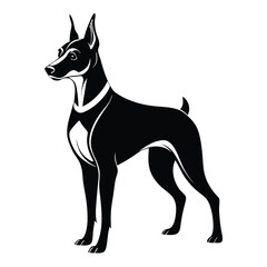 doberman pinscher line art silhouette vector illustration