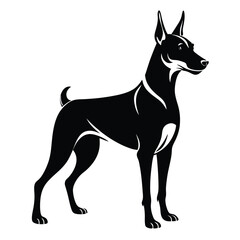 doberman pinscher line art silhouette vector illustration