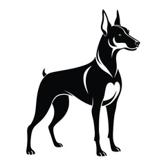 Obraz premium doberman pinscher line art silhouette vector illustration