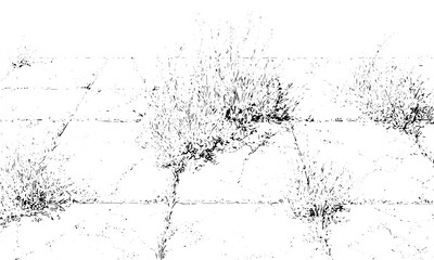 Abstract grainy dot pattern dense particle texture backdrop Black white particle noise texture grunge dotted surface. 