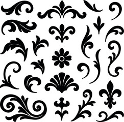 Floral design Ornament Vector illtusration