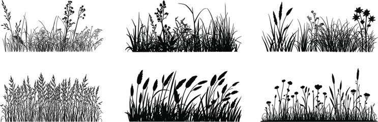 Silhouettes of Various Wild Grasses and Flowers nature meadow © MD MOZAMMEL HAQUE