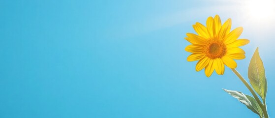 Sunny Sunflower against Blue Sky