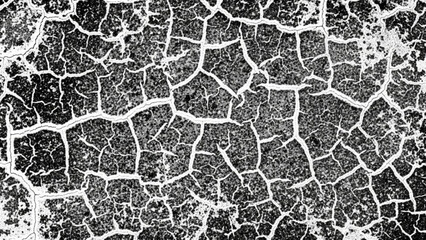 Obraz premium Black and white cracked earth texture with dry soil pattern