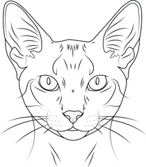 vector illustration of a cat, Minimal cat face line art