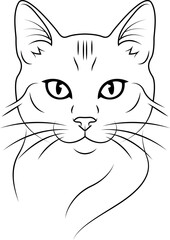 vector illustration of a black cat isolate on a white background