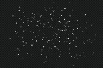 Christmas winter snowflakes overlay