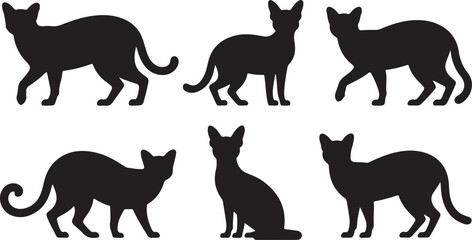 Obraz premium Silhouettes of Cats in Various Poses on Transparent Background