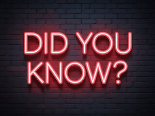 A glowing red neon sign displays the phrase "did you know?" against a dark brick wall background