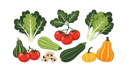 Fototapeta premium A vibrant collection of fresh vegetables including lettuce, tomatoes, zucchini, squash, and mushrooms, artfully arranged.