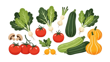 A vibrant collection of fresh vegetables including tomatoes, zucchini, turnips, mushrooms, and pumpkins, artfully arranged.