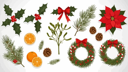 Christmas decorations: holly, mistletoe, poinsettia, wreaths, oranges, pine cones, and pine branches. © Friska