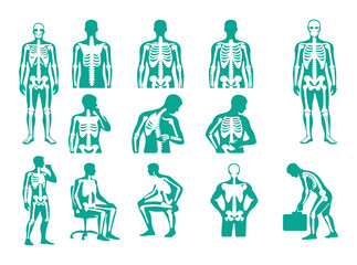 Human Skeleton Anatomy Posture Illustration , Full Body Skeletal System Poses for Ergonomics and Medical Analysis Vector Set