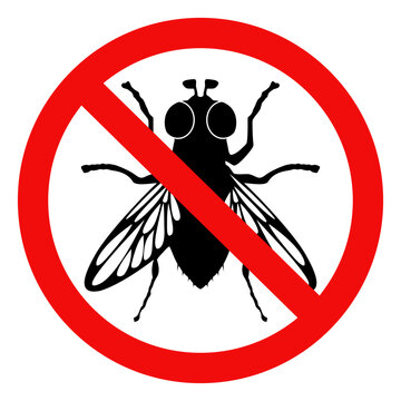 No house flies sign, Flys warning sign. Flat vector illustration isolated on white background