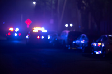 Abstracted illuminated night view of police units on a city street.