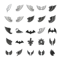 Collection of Wing Illustrations in Various Styles and Designs.