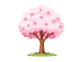 Cherry Blossom Tree Vector Illustration in Full Bloom