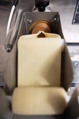 Small pasta production. A machine for making noodles and pasta. Out of focus. Lasagna dough.