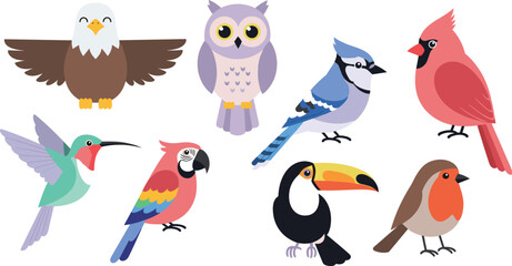 Variety of colorful birds