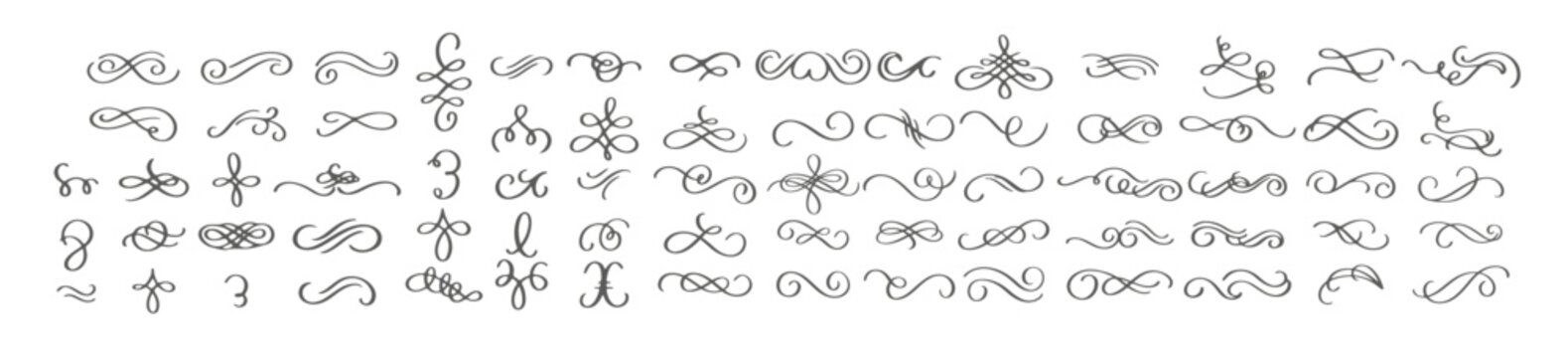 swirls or scroll vintage flourishes stroke and curls