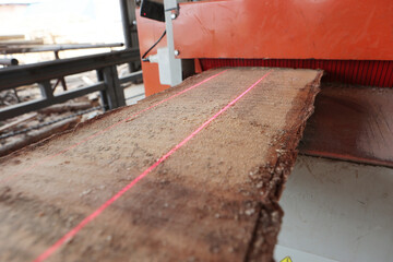 Laser marking of wood. A machine for sawing wood. Woodworking industry. Wood processing at a sawmill.