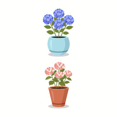 Vibrant Hydrangea Potted Plant for Beautiful Home Decor