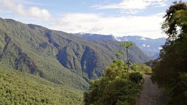 The notorious Death Road in the Bolivian Andes. The video highlights the narrow, unpaved road cut into the steep, heavily vegetated cliff face, famous for mountain biking and extreme travel.