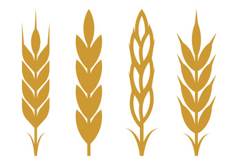 wheat and grain element